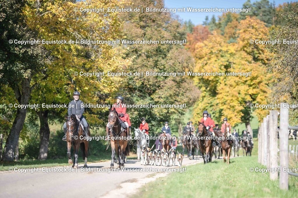 20251011_Jagd-Marbach_0584 | Foto: Thomas Hartig