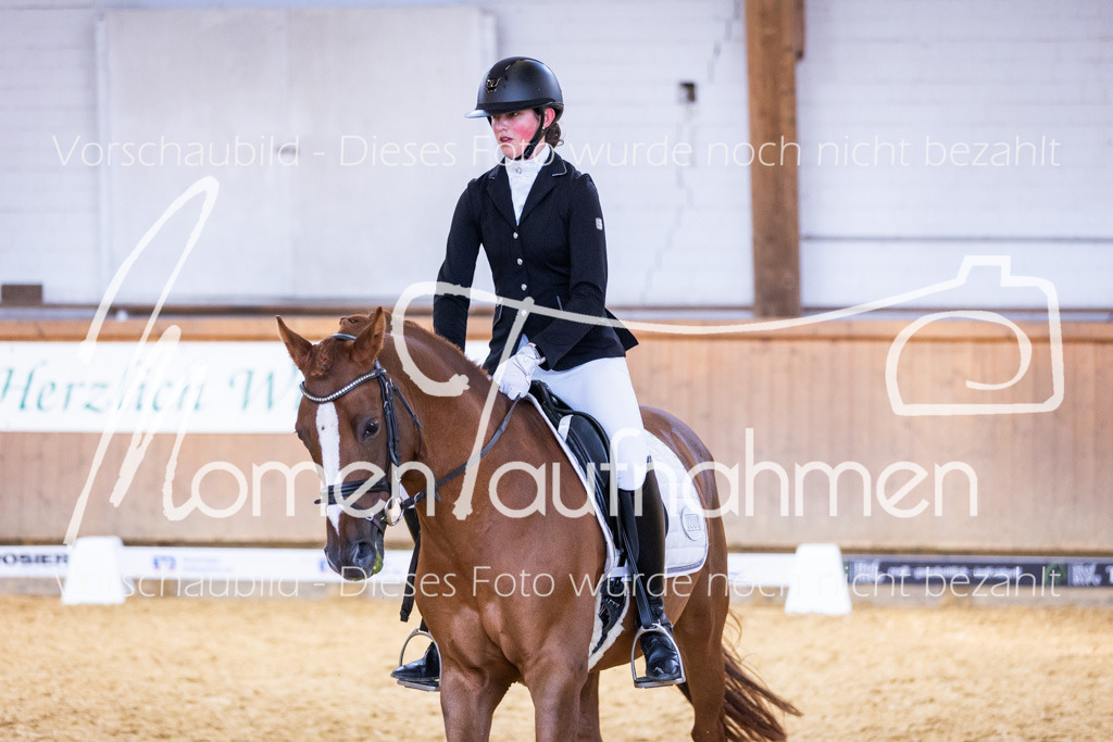 Sth-A-Dre-2St-206 | MomenTaufnahmen Pferdesportfotos