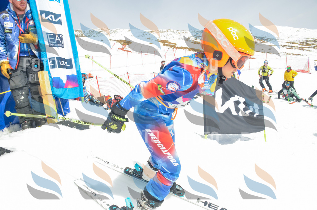 _ELE7709 | holidayphoto