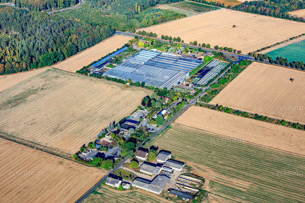 Luftbild: Gewächshäuser der Gärtnerei Löwer Seligenstadt und Stenger Garten & Pflanzen GmbH in Seligenstadt im Bundesland Hessen in Deutschland. Foto: IMG_111009.jpg vom 08.09.2018 durch Werner Riehm/FLY-FOTO.deWWW.GAERTNEREI-LOEWER.DE
