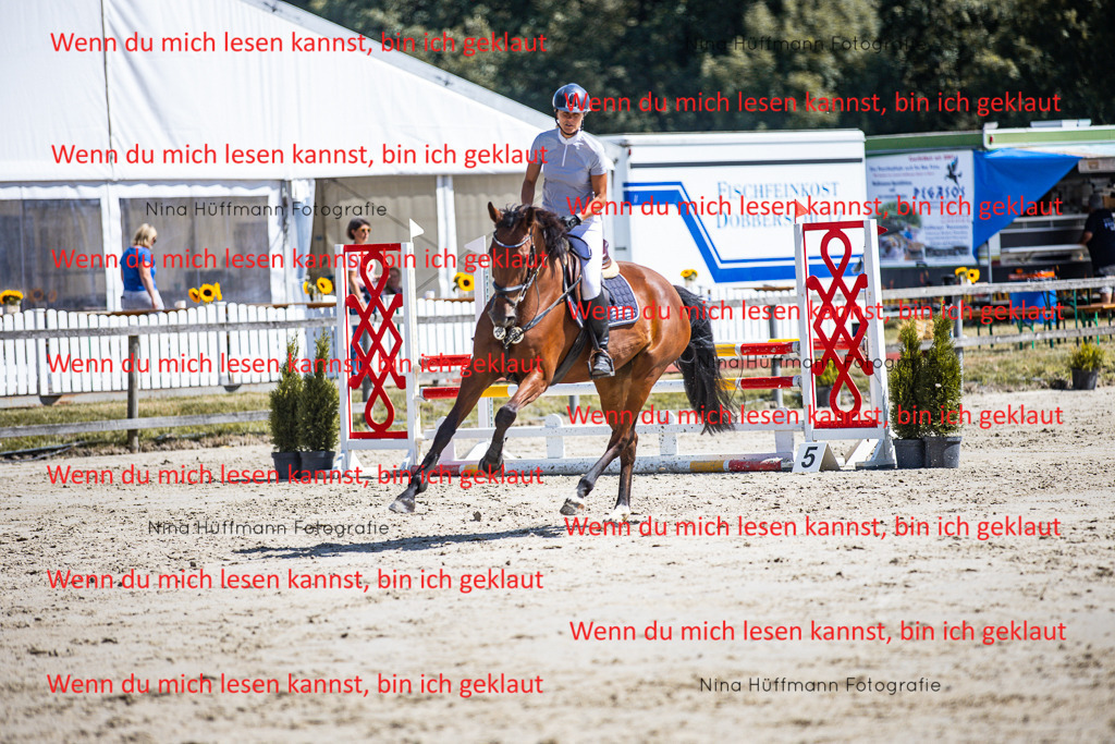 BK1A5222 | Turnierbilder Turnierfotos Nina Hüffmann Turnierfotografie Pferdefotografie Tierzeichnung Haustierzeichnung Pferdezeichnung Hundezeichnung Videograf  - Realisiert mit Pictrs.com