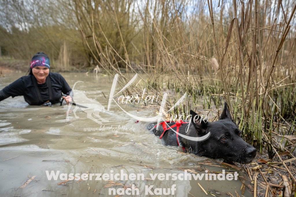 1600_ZZ95367 | kk-dogfotos