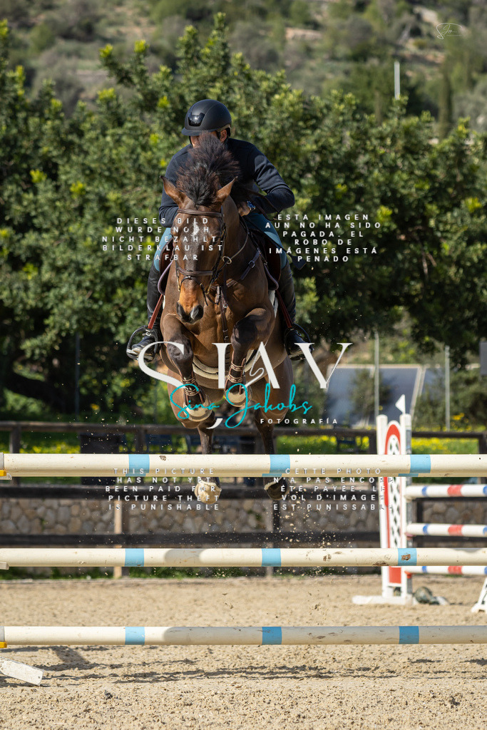 IMG_6840 | s-jay-photography - Realisiert mit Pictrs.com