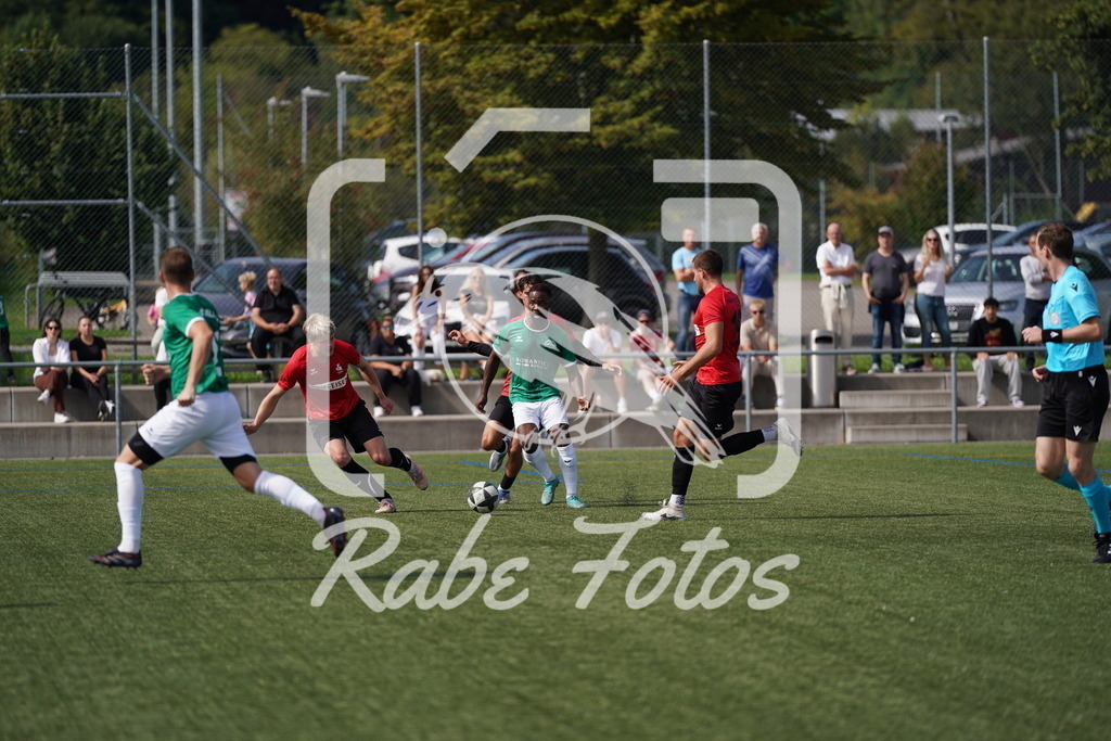 DSC08551 | rabefotos