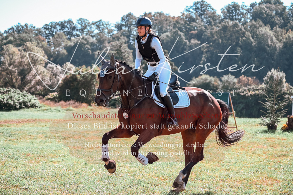 DSC_1082 | Pferde- und Turnierfotografie in Westsachsen. Pferdeportraits, Auftragszeichnungen und intuitive Kunst.