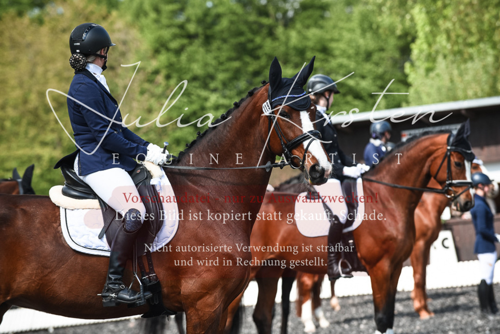 DSC_9080 | Pferde- und Turnierfotografie in Westsachsen. Pferdeportraits, Auftragszeichnungen und intuitive Kunst.