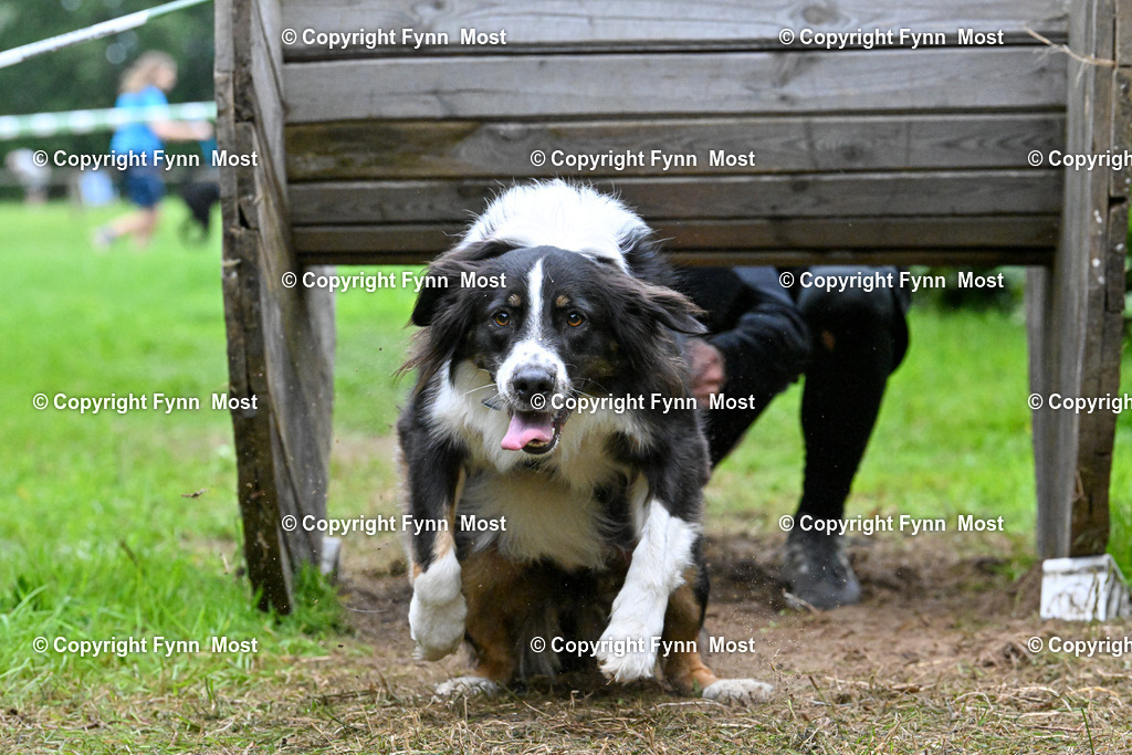 DSC_1850 | Hallo und herzlich Willkommen auf meiner Shop-Seite Fynn Most.

Ich wünsche Dir viel Spaß beim stöbern durch die Bilder, wenn Du Fragen hast oder Bilder vermisst, kannst du mir gerne eine Nachricht schreiben. - Realisiert mit Pictrs.com