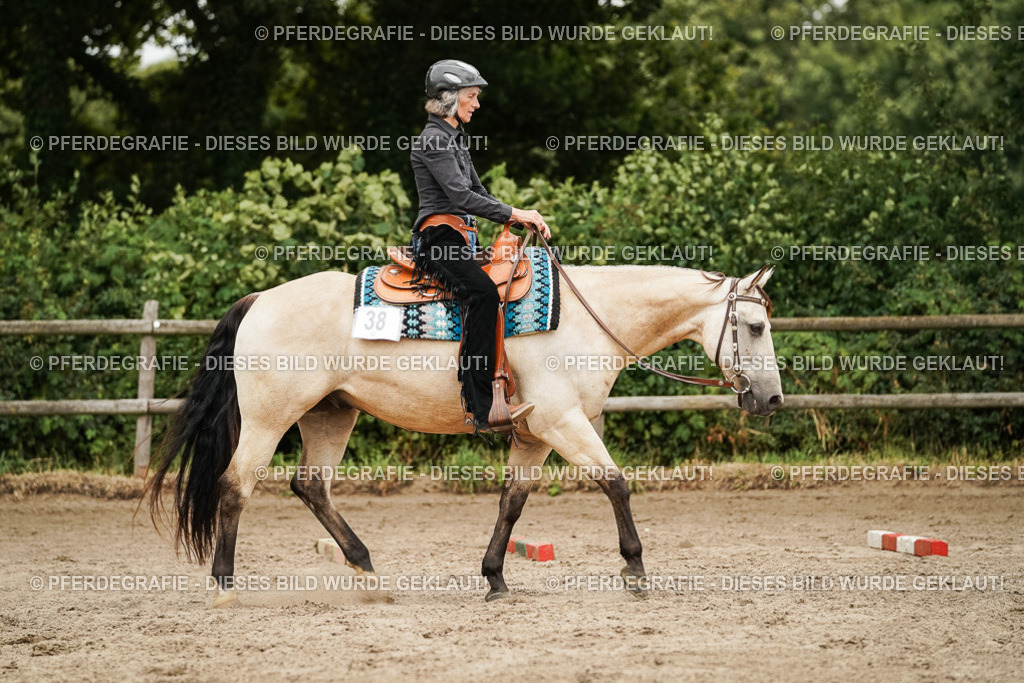 DSC08399 | Pferdegrafie