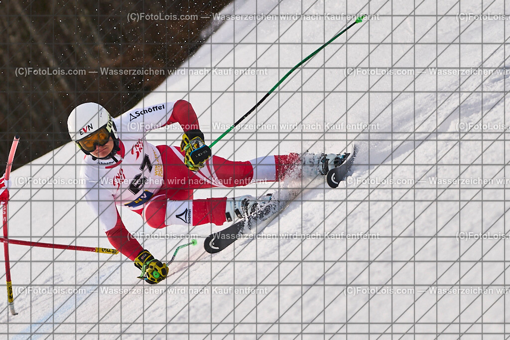 ALP8977_Herrn-FIS-GS-II_Lackenhof-WY_SCHACHINGER Lorenz | Internationaler FIS GiantSlalom der Herrn auf der Distelpiste in Lackenhof am Di 11. März 2025.  Österreich, LSV-NÖ, Sportunion Waidhofen/Ybbs (2035).