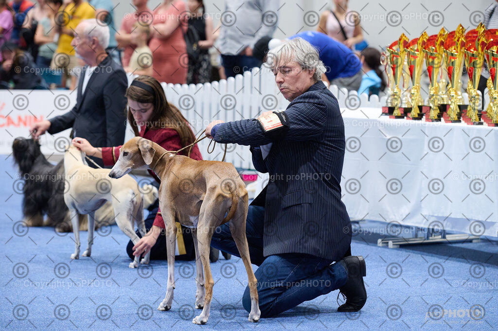 202406_ÖKV-IHA-Tulln24_DSC_4857 | proPHOTO - Realisiert mit Pictrs.com