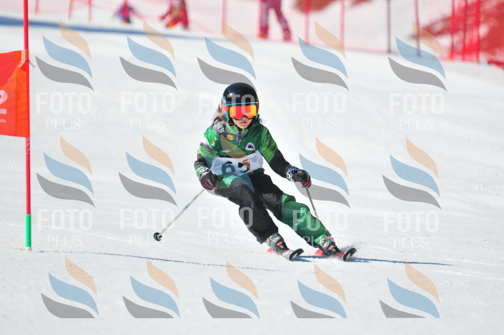 C2242 | holidayphoto