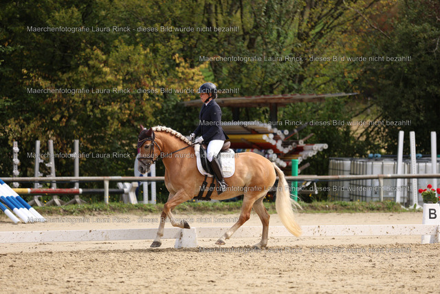HG9A1531 | laurarinckfotografie - Realisiert mit Pictrs.com