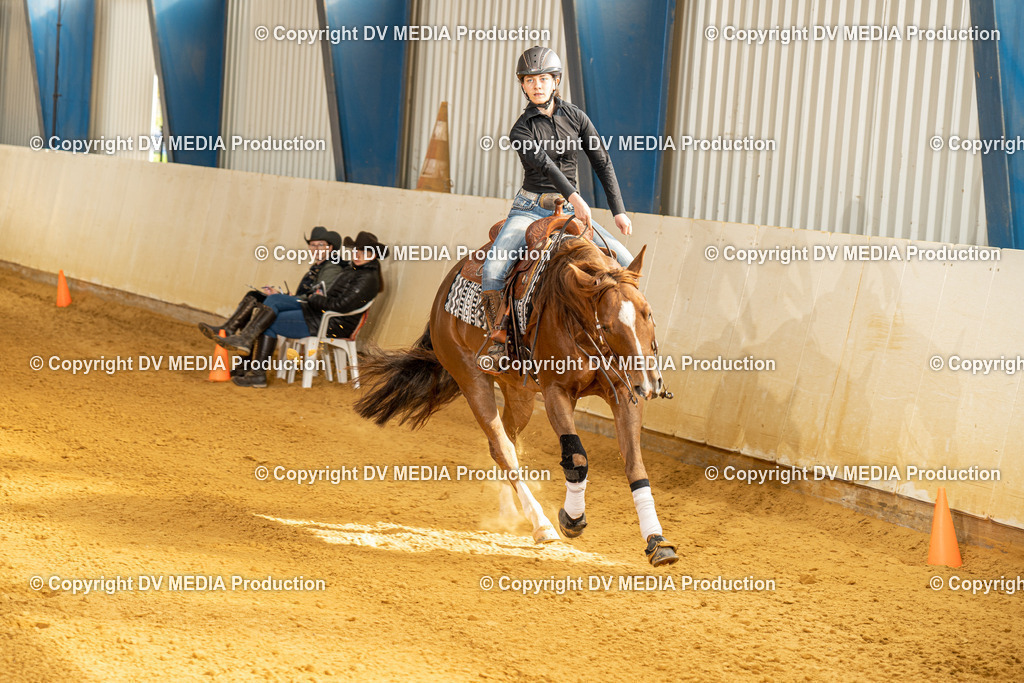 MIT00823 | dv-media-shop - Realisiert mit Pictrs.com