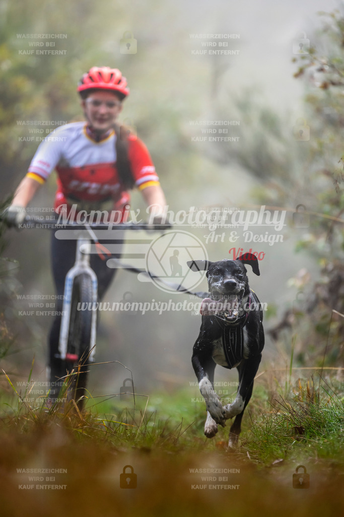 MompixPhotography_20TSB_E4_DS1-41 | PayLife