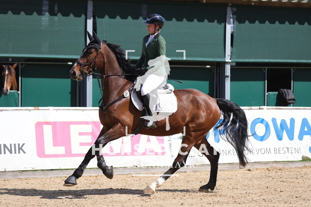 0P6A7496 | Willkommen bei Brunnmayr - Design & Fotografie – Ihrem Spezialisten für Reitturniere und Pferdeveranstaltungen in Oberösterreich, Salzburg und Bayern! Seit über 17 Jahren sind wir leidenschaftlich dabei.