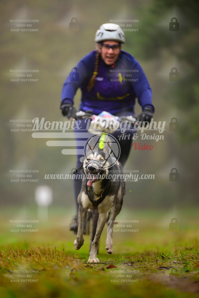 MompixPhotography_Bischwiller2025_Bike-64 | mompixphotography