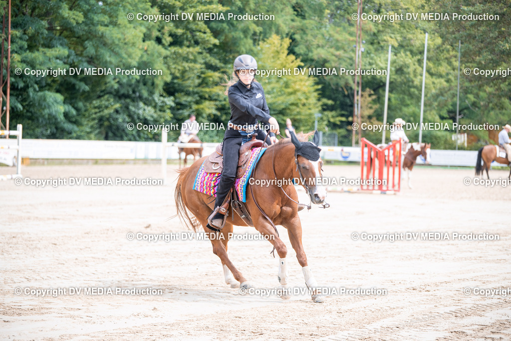 ZS3_5081 | dv-media-shop - Realisiert mit Pictrs.com