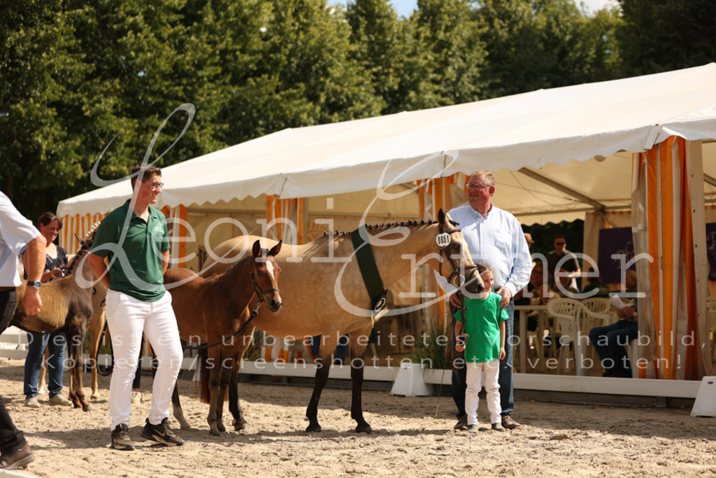 08.DoRPS00082 | Leoni Ertmer Photography - Realisiert mit Pictrs.com