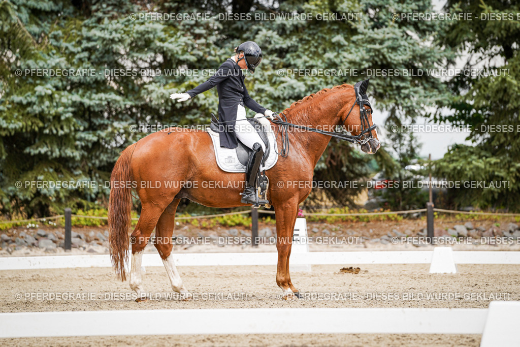 DSC05670 | Pferdegrafie