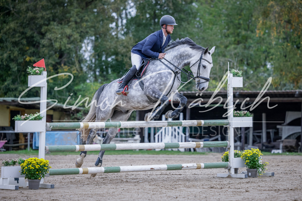 20251012-_3LI4923 | Tierfotografie Pferde, Hunde, Katzen, Haustiere.
Turnierfotografie Reitturniere, Reiten, Springreiten, Dressur in Hanau, dem Main-Kinzig-Kreis und dem Rhein-Main- Gebiet um Frankfurt