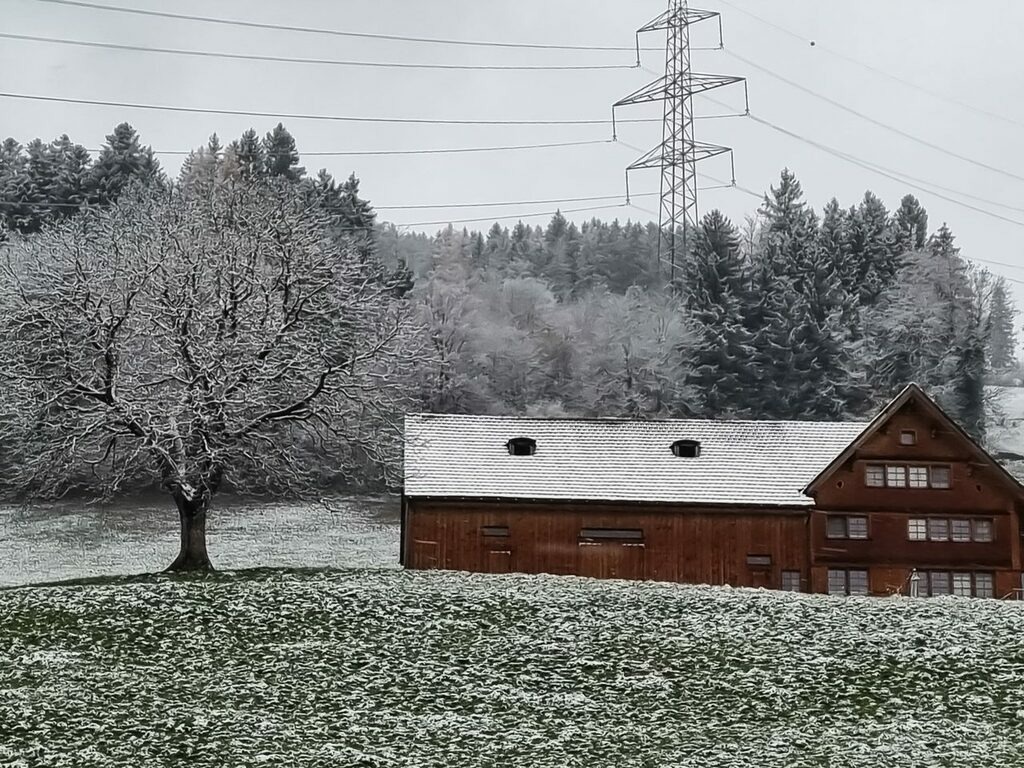 PSX_20221210_224243 | mtkfoto_ - Realisiert mit Pictrs.com