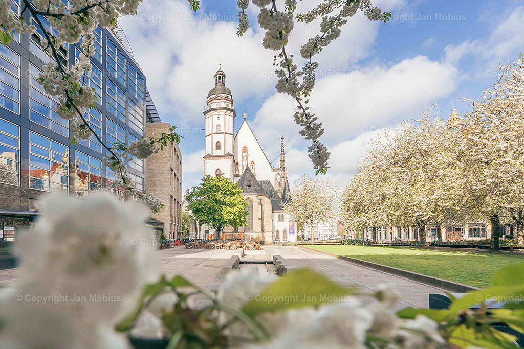 _DSC7340 | Leipzig Wandbilder Drucke Prints Leinwand Stadtmotive Leipzig Fotosdruck Kunstdrucke Bilder Leipzig Stadtansichten Acrylglasbilder Leipzig Wanddeko Fine Art Prints Wandbilder Büro Leipzig Bilder Praxis Zuhause Bilderdruck Poster Posterlounge Kunstdrucke - Realisiert mit Pictrs.com