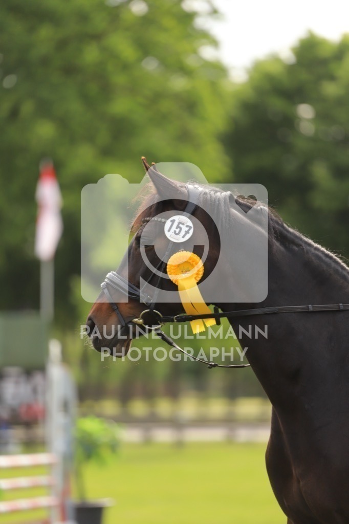 IMG_6866 | Pauline Ullmann Photography - Realisiert mit Pictrs.com