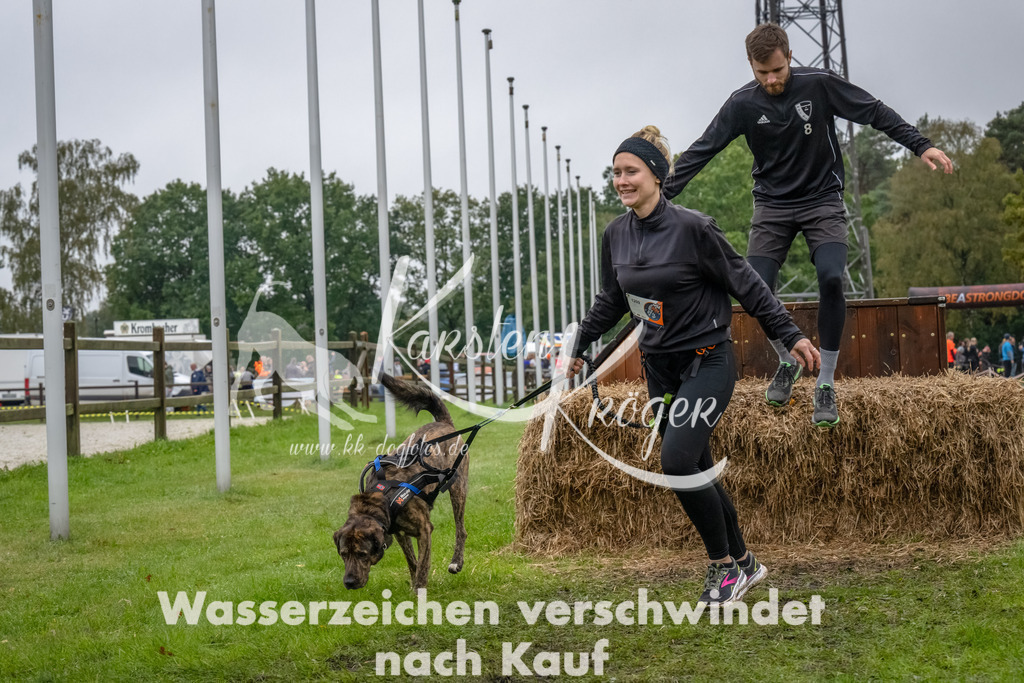 1206--16 | kk-dogfotos