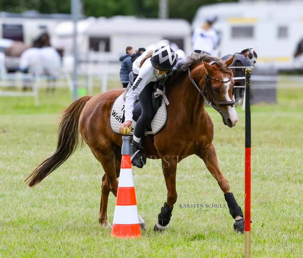 1B3A1622 | Reitsport Reiten