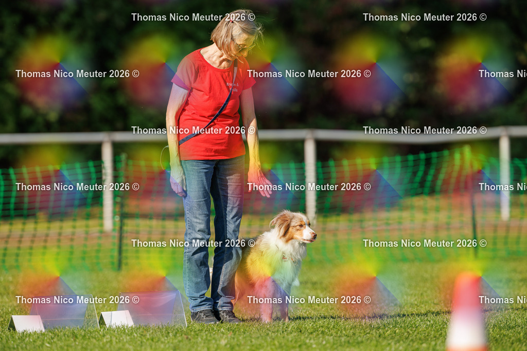 Thomas_Nico_Meuter(C)_04. Oktober 2026_223A3399 | Bild von Thomas Nico Meuter - Realisiert mit Pictrs.com