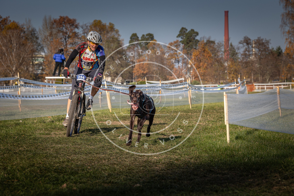 CaniXpix_0L8A6721 | Hundefotografie, Tierfotograf, Pfotenfotografie, Fotoshooting Hund, Hunde Portrait, Hundesport, Hundeportraits, Heideshooting, Hunde, Sportfotograf, Hundefotograf, Turnierhundsport, THS,  - Realisiert mit Pictrs.com
