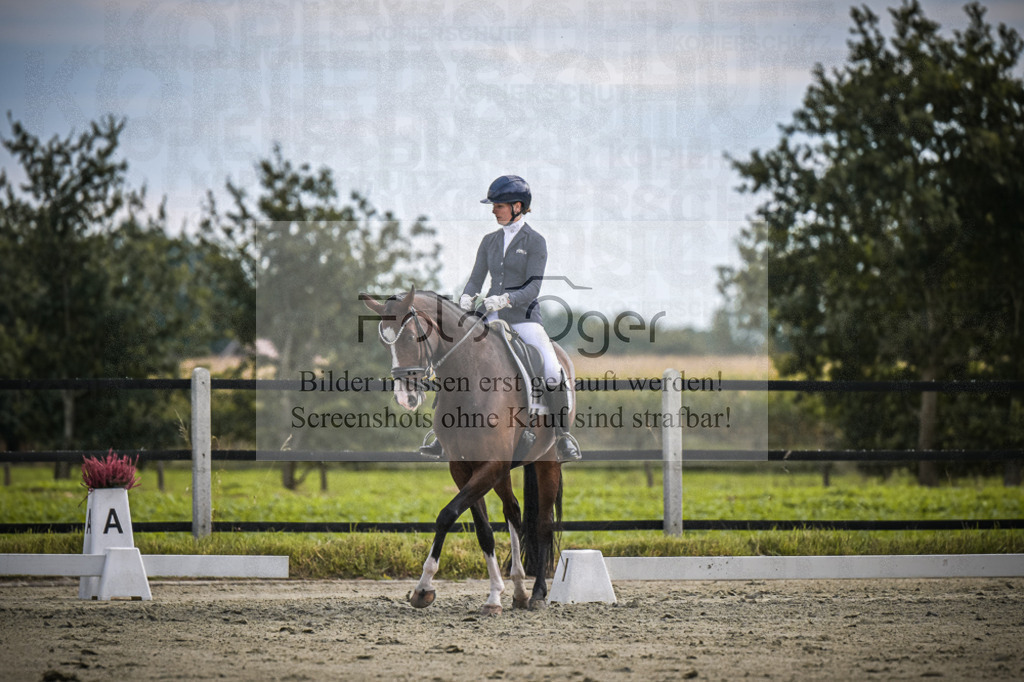 DOS_2185 | Entdecke hochwertige Reitturnierfotos von Foto Oger. Professionell, emotional und authentisch – jetzt Lieblingsmomente im Shop bestellen.Deutschlandweite Turnierfotografie. - Realisiert mit Pictrs.com