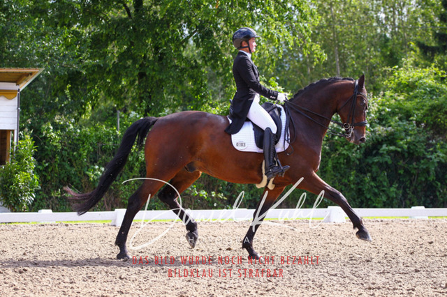 DKP41498 | Deine Turnierfotos vom Reitturnier online kaufen: Dressur, Springen & Siegerehrung. Professionelle Pferdefotografie aus dem Rheinland – als Download & Print.Alternative: Turnierfotograf für den Pferdesport: Finde deine Fotos von Dressur- und Springturnier