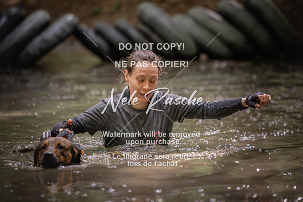 nelerasche_SaWingst1400-1500_264 | nelerasche
