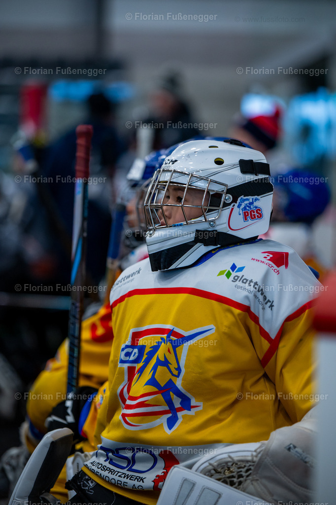 2025-03-01-Bärencup Wil-182 | "Fussifoto.com – Ihr Ansprechpartner für hochwertige Fotografie! Entdecken Sie kreative Bilder und professionelle Dienstleistungen. Kontaktieren Sie uns für Ihre Projekte!"