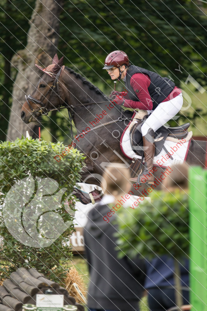 IMG_2447 | Sport-, Event- und Tierfotos in Profiqualität. Einfach auswählen, bestellen und herunterladen. Dein Moment – perfekt festgehalten.