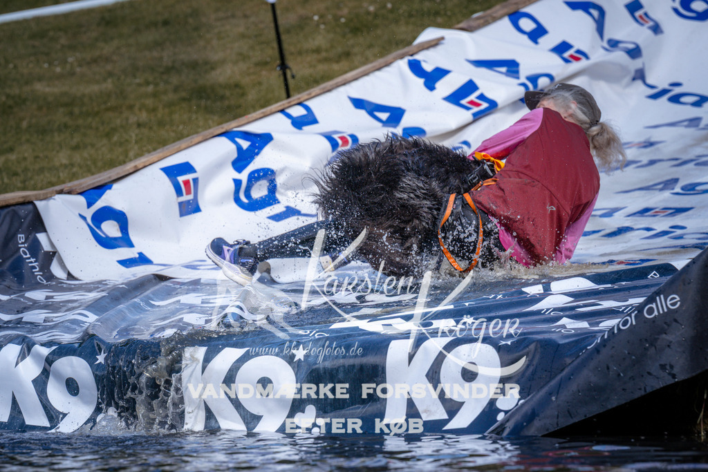 _ZZ930370935 | kk-dogfotos