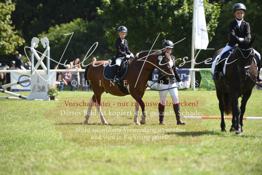 DSC_9802 | Pferde- und Turnierfotografie in Westsachsen. Pferdeportraits, Auftragszeichnungen und intuitive Kunst.