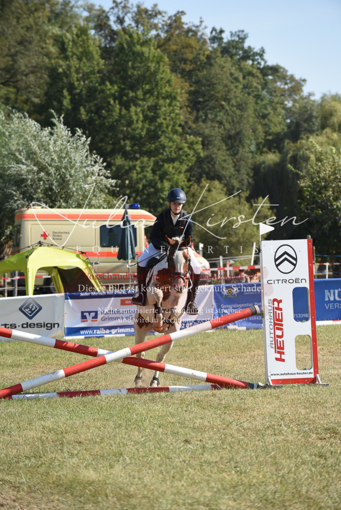 DSC_6032 | Pferde- und Turnierfotografie in Westsachsen. Pferdeportraits, Auftragszeichnungen und intuitive Kunst.