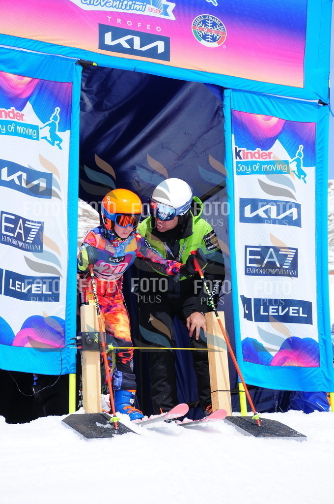 DSC_6469 | holidayphoto