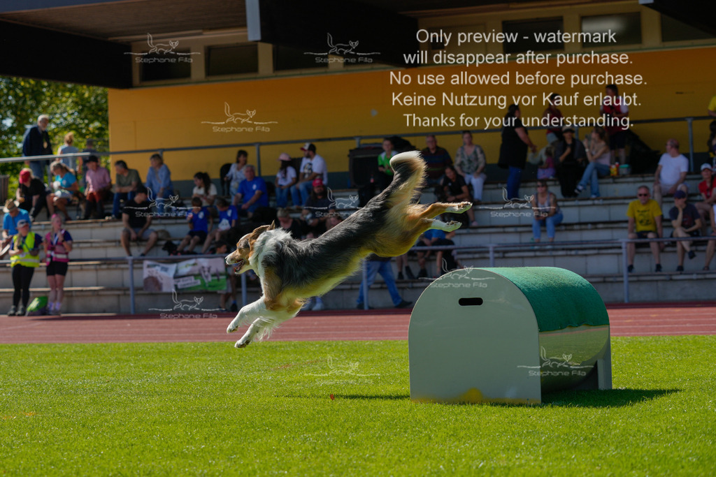 Sonntag_VK Hindernis (619 von 671) | stephaniefillaphotographie - Realisiert mit Pictrs.com