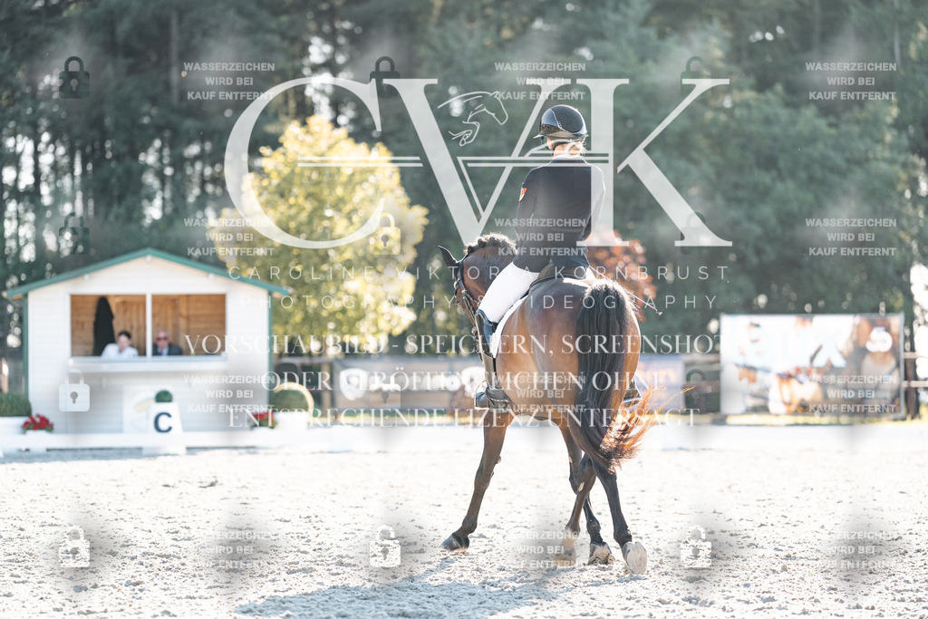 CK907062 | Turnierfotografie Pferdefotografie Trier Rheinland-Pfalz Pferdesport Reitsport Tierfotografie Sportfotografie Pferdevideo Pferdevideografie Equestrianvideography equestrianphotography  - Realisiert mit Pictrs.com