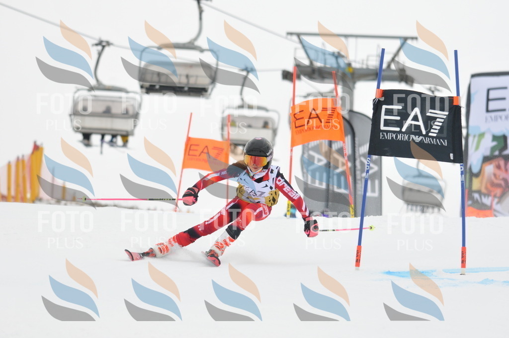 DSC_8258 | holidayphoto