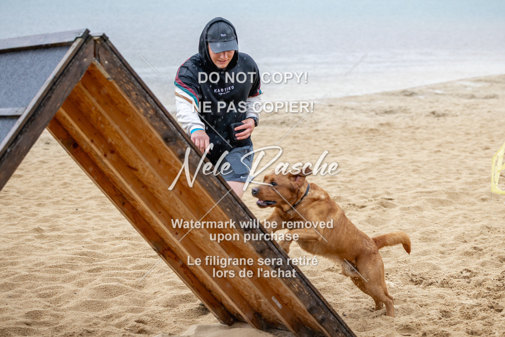 nelerasche_BuHu2026_So1430-1530_32 | nelerasche