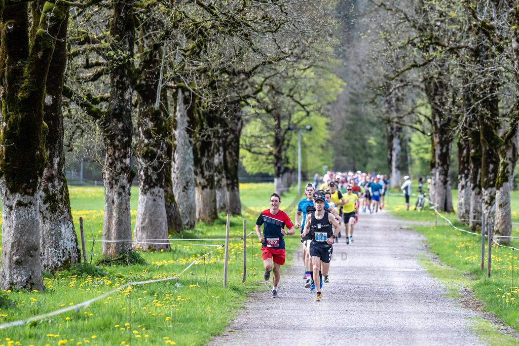 Oberstdorfer Gebirgstälerhalbmarathon | Oberstdorfer Gebirgstälerhalbmarathon am 07.05.2023 in Oberstdorf. 



(Foto: Dominik Berchtold)

B-IS SPO