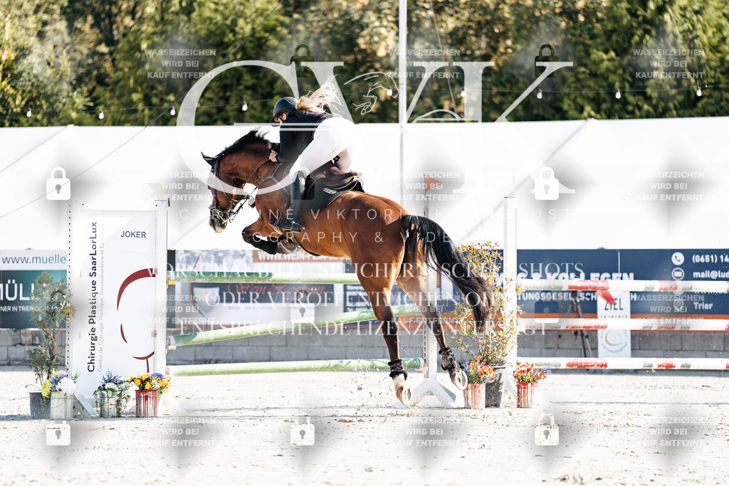 CK901629 | Turnierfotografie Pferdefotografie Trier Rheinland-Pfalz Pferdesport Reitsport Tierfotografie Sportfotografie Pferdevideo Pferdevideografie Equestrianvideography equestrianphotography  - Realisiert mit Pictrs.com