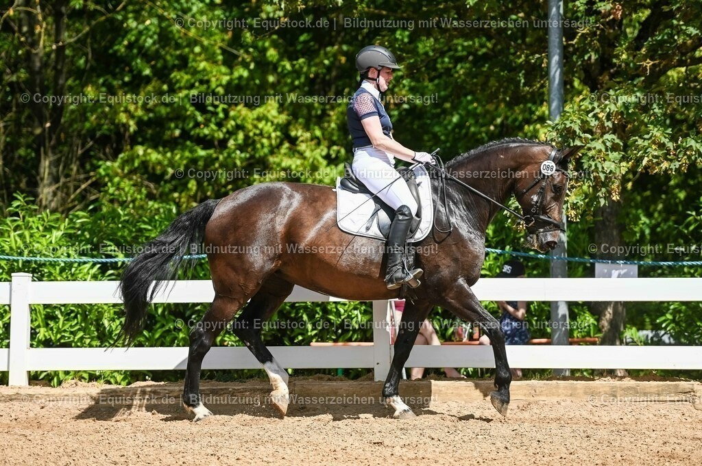20230715_02_Dressurreiterprüfung Kl.L_0108 | equistock