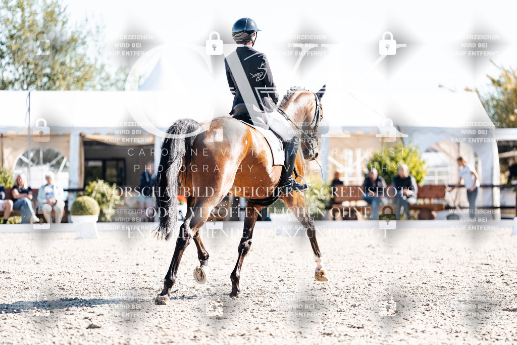 CK908630 | Turnierfotografie Pferdefotografie Trier Rheinland-Pfalz Pferdesport Reitsport Tierfotografie Sportfotografie Pferdevideo Pferdevideografie Equestrianvideography equestrianphotography  - Realisiert mit Pictrs.com