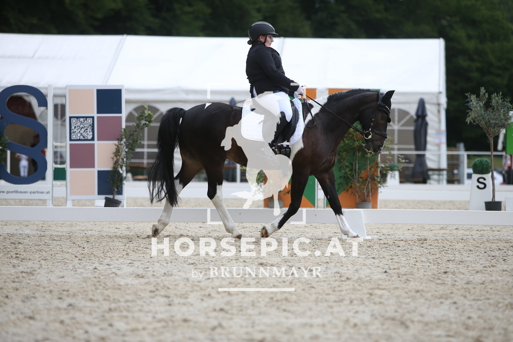 PP010710 | Willkommen bei Brunnmayr - Design & Fotografie – Ihrem Spezialisten für Reitturniere und Pferdeveranstaltungen in Oberösterreich, Salzburg und Bayern! Seit über 17 Jahren sind wir leidenschaftlich dabei.