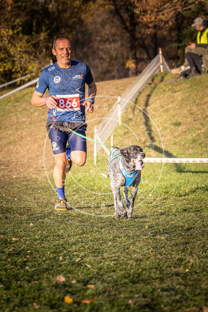CaniXpix_0L8A1058 | Hundefotografie, Tierfotograf, Pfotenfotografie, Fotoshooting Hund, Hunde Portrait, Hundesport, Hundeportraits, Heideshooting, Hunde, Sportfotograf, Hundefotograf, Turnierhundsport, THS,  - Realisiert mit Pictrs.com